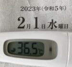 2023年2月1日（水）の検温結果