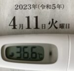 2023年4月11日（火）の検温結果