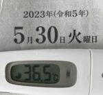 2023年5月30日（火）の検温結果