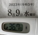 2023年8月9日（水）の検温結果