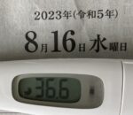 2023年8月16日（水）の検温結果